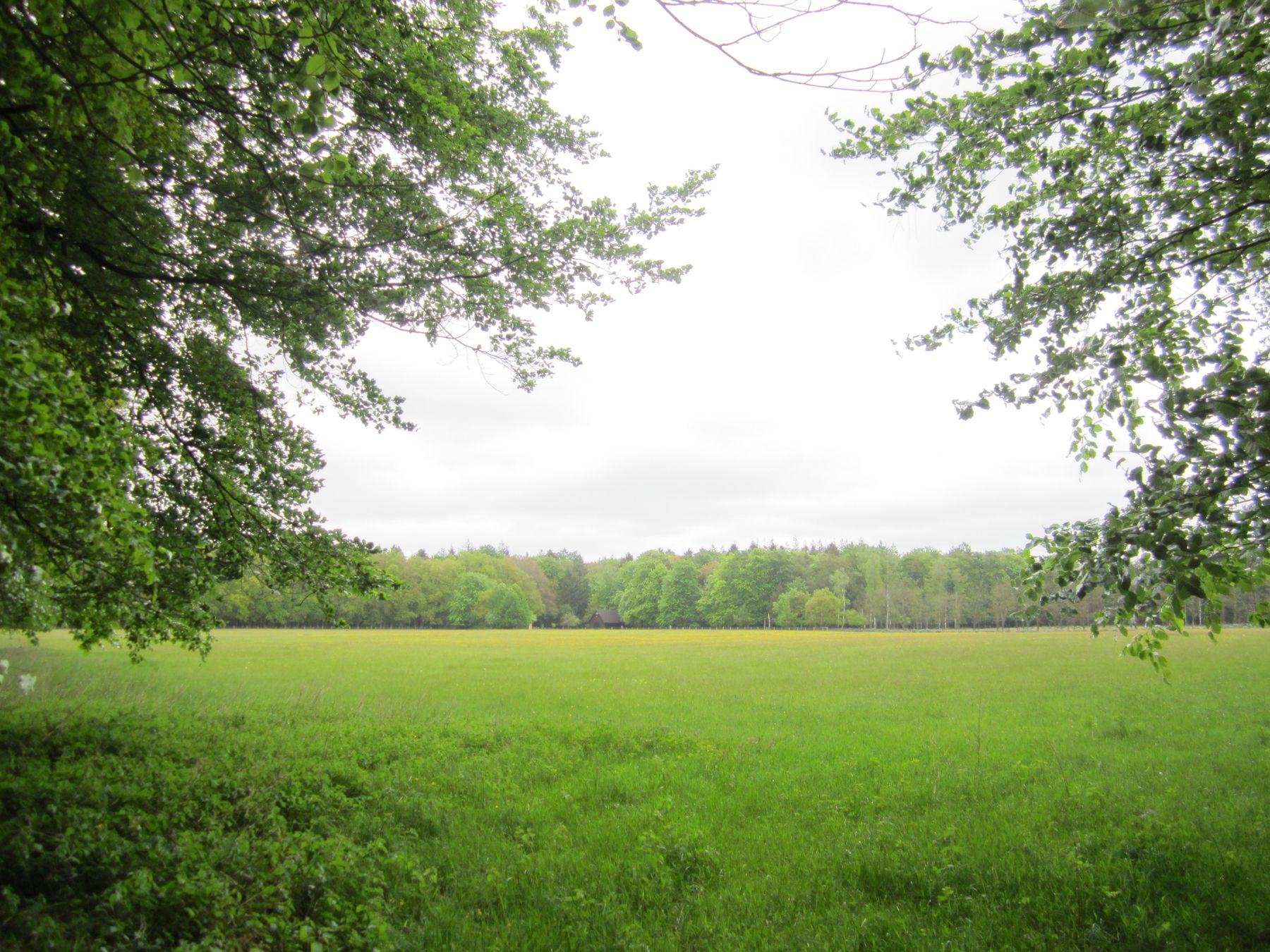 De Nieuwe Martha’s Hoeve – Landgoed Welna