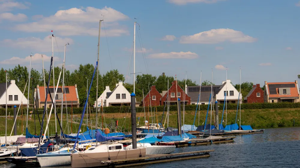 Harbor View 12p in Thorn